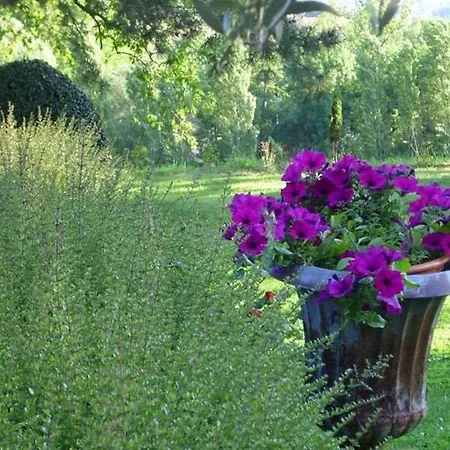 Bed and breakfast Chateau De Thegra Balma