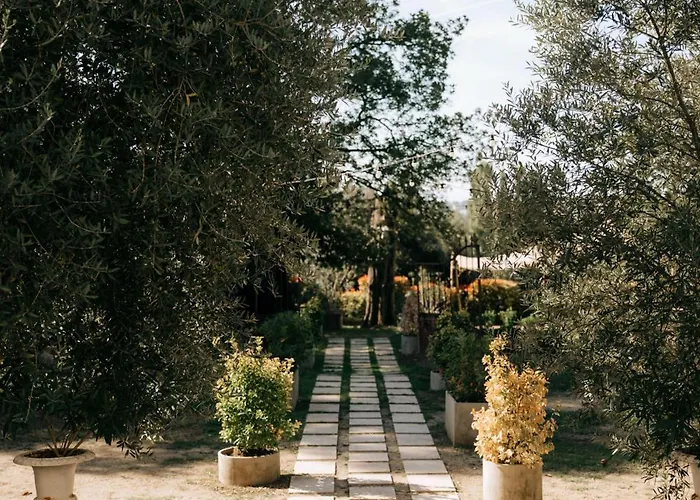 Chateau De Thegra 3* Balma